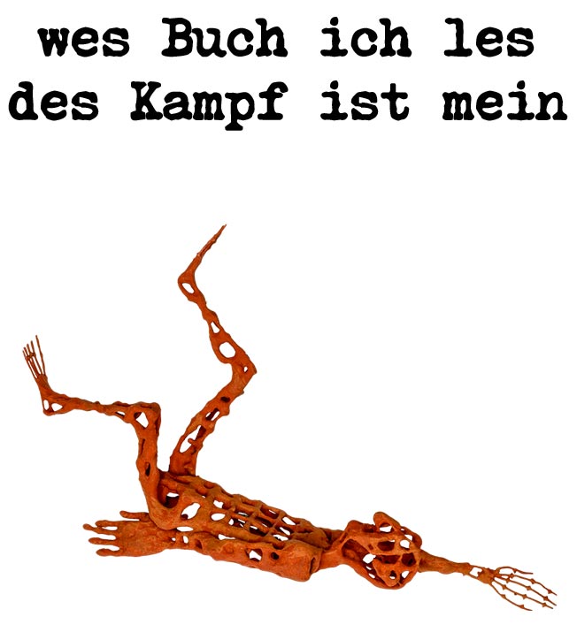 wes Buch ich les des Kampf ist mein - german author roman ladwein